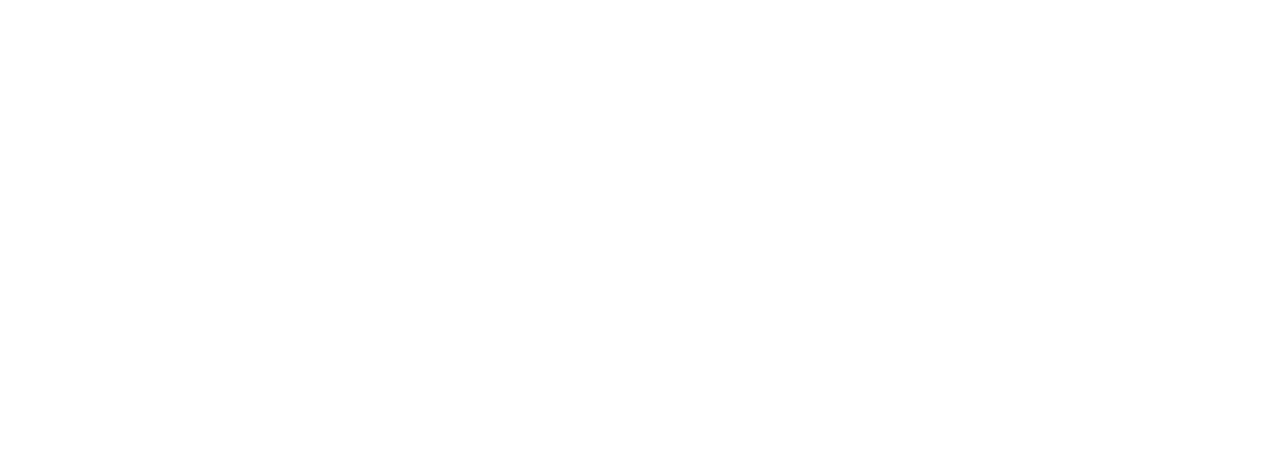 ChildminderConnect Footer Logo